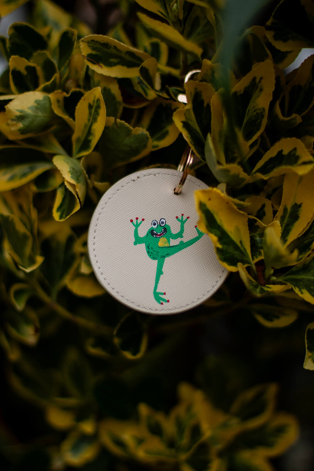 Personalisable Hand Painted Key Ring- Frog